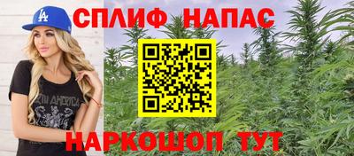 сатива Беслан