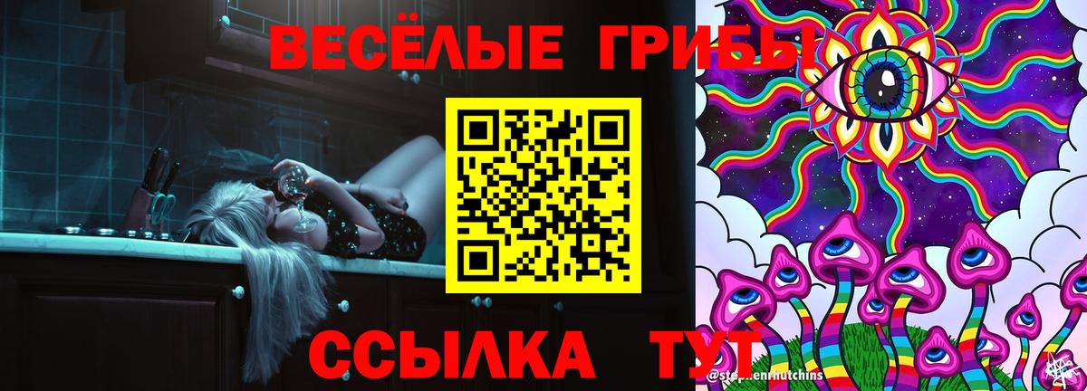 Псилоцибиновые грибы MAGIC MUSHROOMS  Вход с VPN  наркота  Псилоцибиновые грибы Psilocybe  Всеволожск 